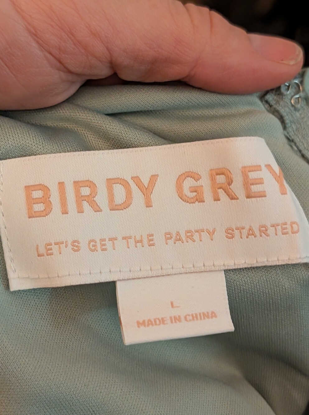 Birdy Grey Hannah Chiffon Dress Size L Sage Le Fleur Floral Flutter Sleeve NWT - Picture 7 of 7